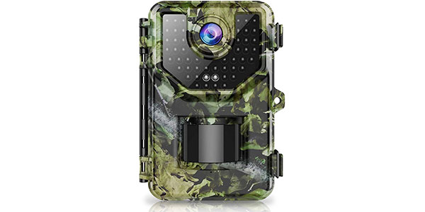 Read more about the article Tangkap Flutter Dengan Kamera Pengumpan Burung Definisi Tinggi – 55 Gadget