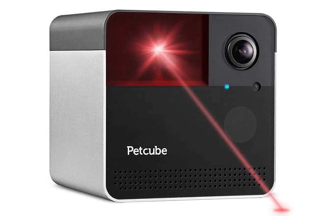 Read more about the article Gadget hewan peliharaan terbaik tahun 2022: Produk teknologi hewan peliharaan terbaik untuk kucing & anjing Anda